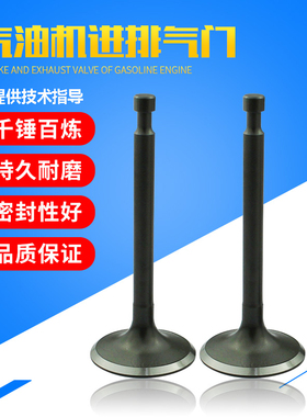 6.5kw8千瓦汽油发电机配件消防泵气门GX390 188F190F192F进排气门