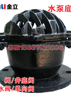 H42X-10法兰底阀止回阀 抽水泵吸水底阀DN50 65 80 100 150 200