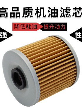 cyleto适配川崎KLR250 KLR600 KLR650 KEF300豪客黄川250机油滤芯