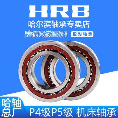 HRB 哈尔滨轴承 7013ACTAP5 P4  DBB DFB 配对 角接触球轴承