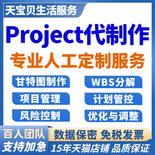 中英文Project甘特图代画代制作wbs分解横道图代做项目管理计划表