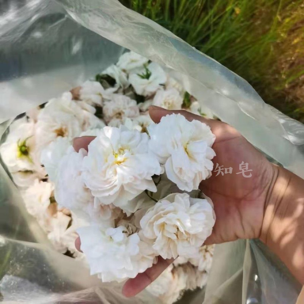 珍稀 原装保加利亚有机白玫瑰纯露 古老稀有玫瑰品种 可遇不可求