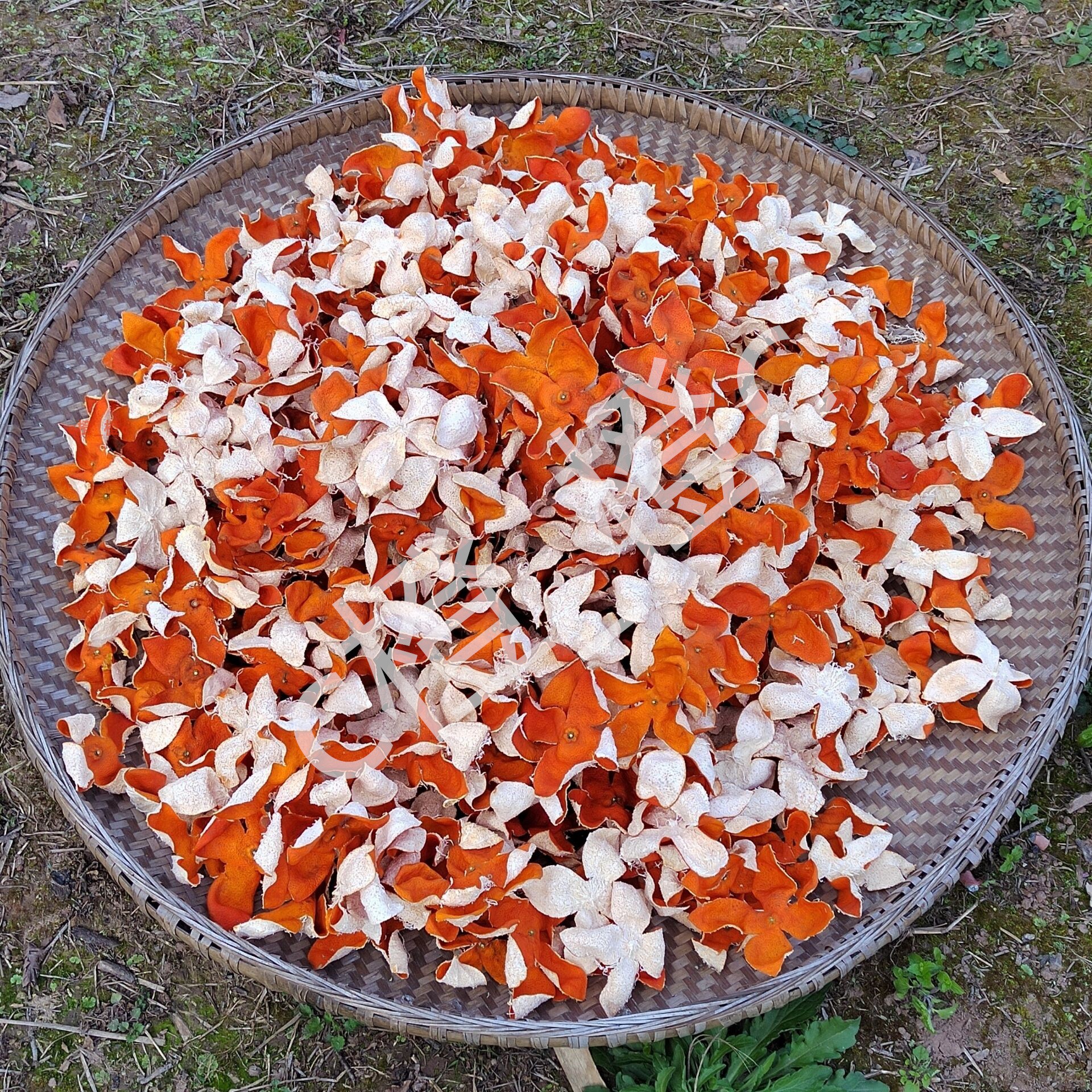 百年老树大红袍川红橘陈皮 红桔皮川陈皮干橘皮 川红桔陈皮