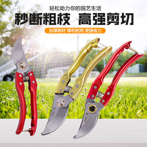 修枝剪精钢园林工具果树