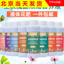 营养液通用型盆栽花肥蝴蝶兰多肉植物绿萝液体肥水培花卉有机肥