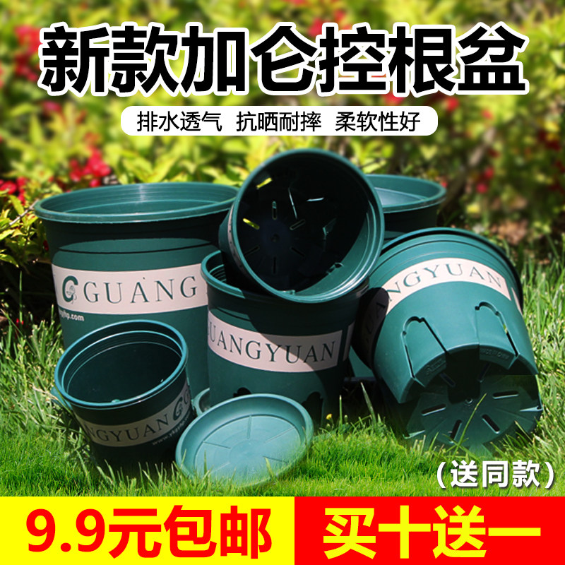 控根花盆月季阳台阳台图片