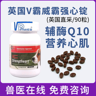 英国V霸威霸强心锭辅酶Q10猫狗保护心脏肥大老年犬强心护心90粒