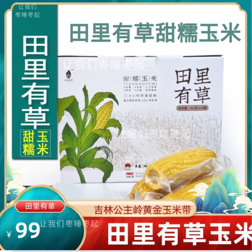 吉林公主岭甜糯玉米苞米田里有草