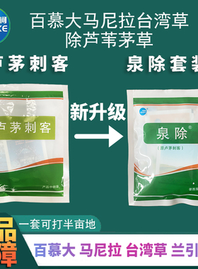 泉除芦茅刺客百慕大马尼拉台湾草兰引三号草坪除芦苇茅草恶性杂草