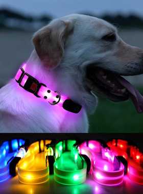 狗狗发光项圈夜间夜晚遛狗灯夜光发亮中大型犬耐咬宠物项链脖颈圈