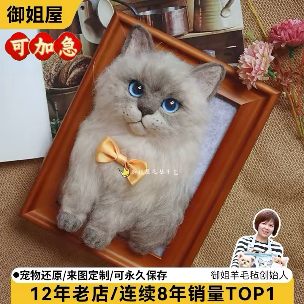 御姐羊毛毡仿真宠物离世纪念定制玩偶diy猫咪狗狗成品相框礼物