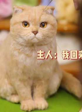 20厘米仿真橘猫摆件定制