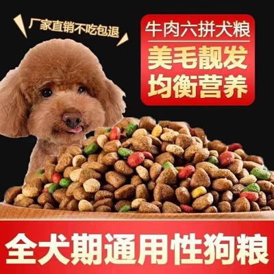 金毛大型犬拉布拉多通用型