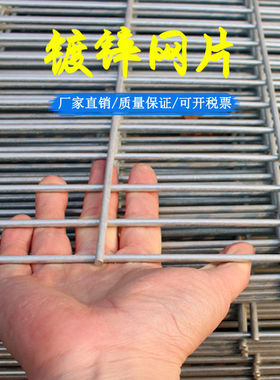 镀锌铁丝网铁网格网片加粗养殖网围栏电焊铁丝网围栏镀锌鸟笼网片