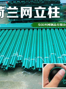 荷兰网立柱铁丝网立柱燕尾柱刺绳立柱钢管立杆支架车间隔离网立柱