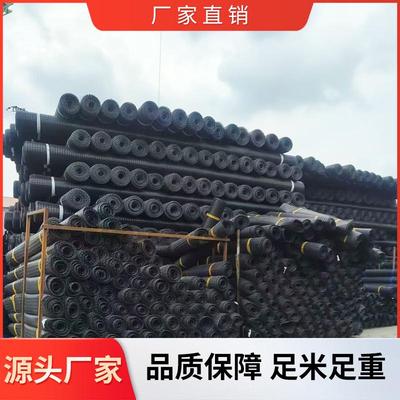 鱼塘围栏土工格栅养殖种植隔离网