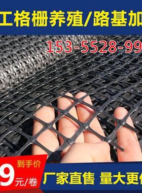 双向土工格栅网养殖网养鸡网安全防护网隔离围栏网塑料格栅网户外