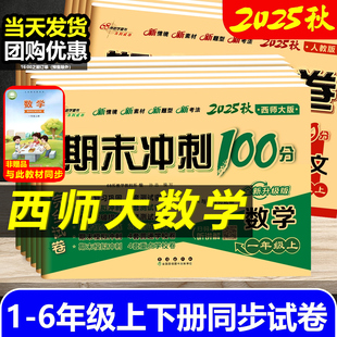期中考试卷子 小学教材同步练习册单元 2025秋期末冲刺100分西师大版 试卷一二三年级四五六年级下册上册测试卷语文人教数学西师版
