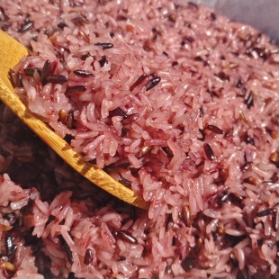 饭团专用米批发商用台湾饭团米糍饭团材料白糯混合血糯米紫菜包饭