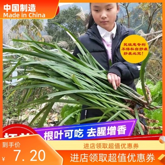 野生五香草新鲜山奈草山赖五香草火锅配去腥羊牛肉香料鸡香草半斤