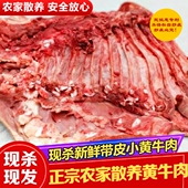 贵州散养现杀生鲜黄牛肉新鲜带皮小黄牛勒条肉带皮牛腩5斤装 包邮
