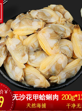 黄蚬肉新鲜贝类文蛤海鲜生鲜火锅