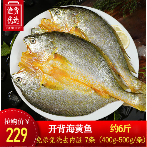 黄花鱼三免海捕小黄鱼烧烤鲜火锅