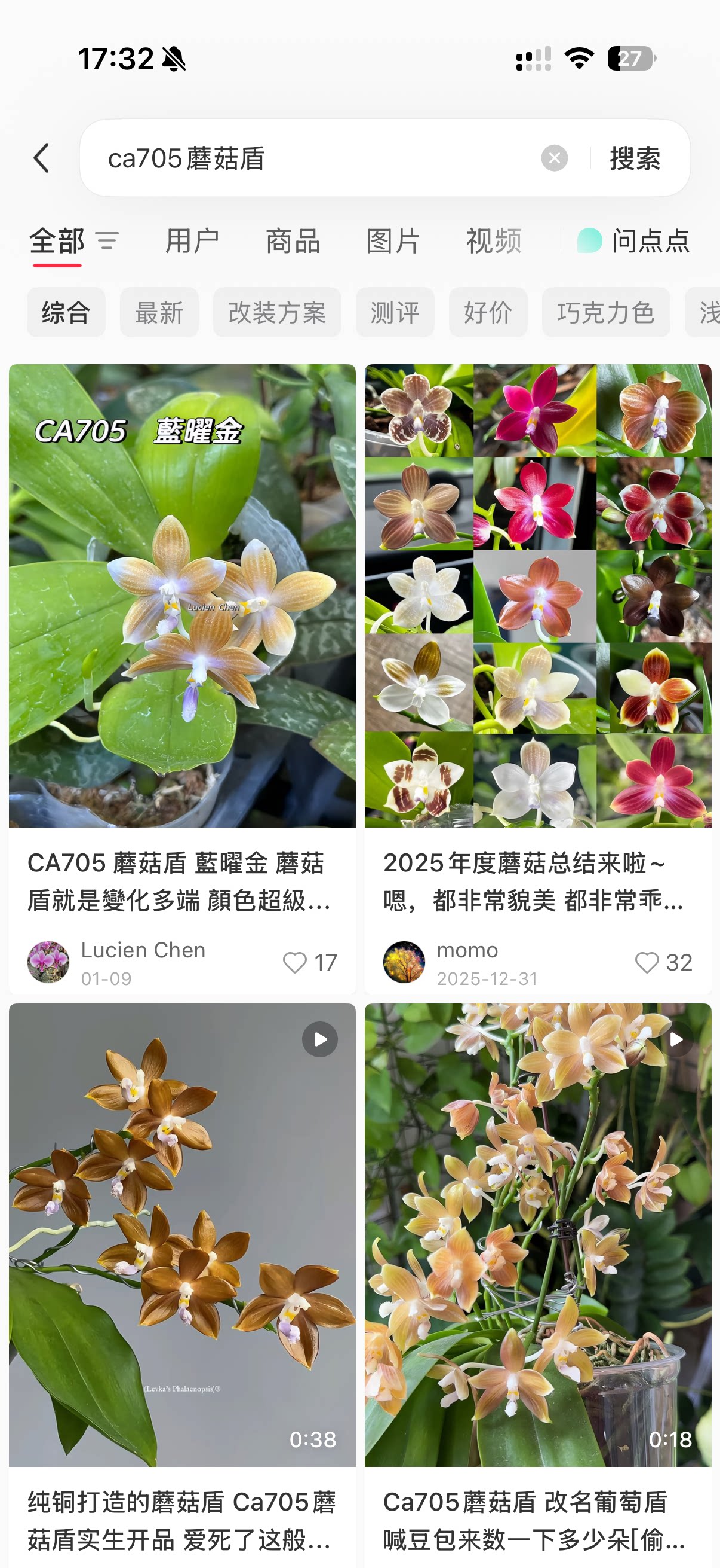 CA705蘑菇盾实生趣味蝴蝶兰 台湾原厂花牌 实生1.7寸爆根壮苗