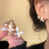 爆款 温柔蝴蝶耳钉2026年新款 高级感耳环女气质耳饰 风法式 金秋天