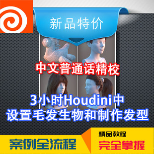 冲钻中文教程电影高级进阶Houdini中设置毛发生物和制作发型