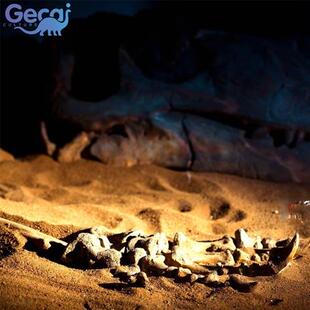 恐龙头骨身体骨骼化石博物馆科技馆学生科普展览玻璃钢模型厂家