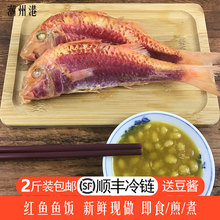 潮汕特产潮州打冷新鲜红鱼鱼饭熟鱼即食红鱼熟鱼当天现做2斤 包邮