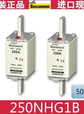 125NHG01B 160NHG01B 200NHG1B 250NHG1B  BUSSMANN熔断器
