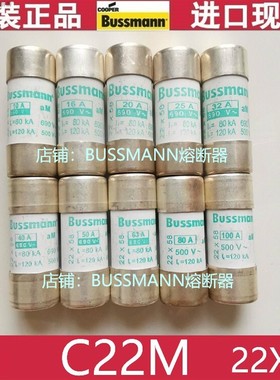 C22M40 C22M50 C22M63 C22M80 C22M100 IEC工业保险丝马达熔断器