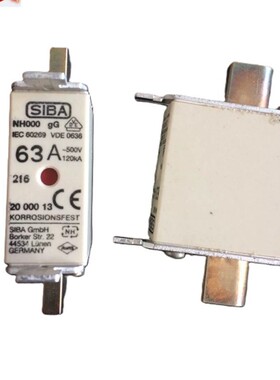 熔断器 2000013 NH000 40A 500V GG/GL 120KA 保险丝现货