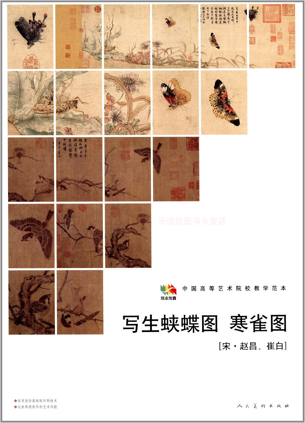 中国高等艺术院校教学范本:写生蛱蝶图寒雀图 第一版 本社编 范本传真 人民美术出版社 新华书店正版图书籍