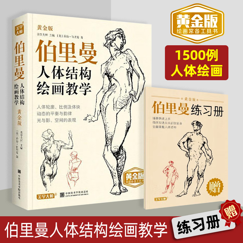 伯里曼人体结构绘画教学黄金版