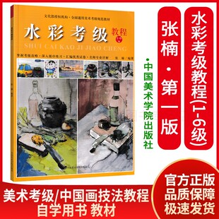 水彩考级教程 6级 张楠水彩颜料水彩初学者色彩静物风景临摹中小学入门教程书全国通用美术考级规范教材考级教材艺术体育考试