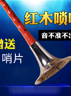 吹奏民族乐器红木唢呐厂家促销降BCDG调手工制作标准校音包邮梵巢