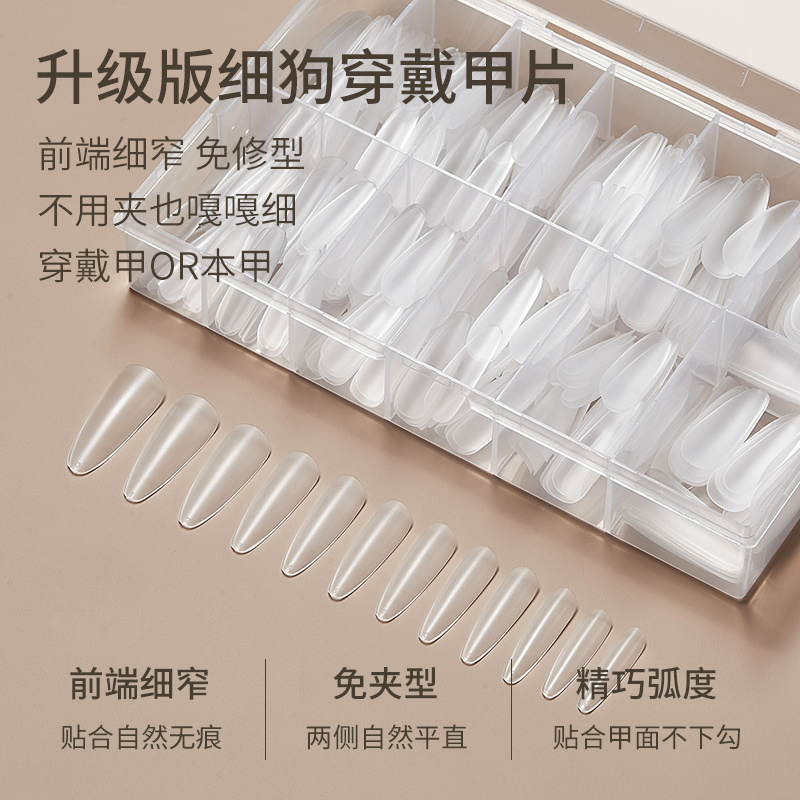 新款细狗尖甲片2024年超薄