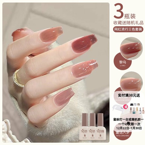 网红流行显白美甲三色套装全套