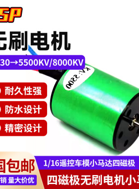 环奇伟力飞神无限1/16遥控车模小马达四磁极 2430 5500KV无刷电机