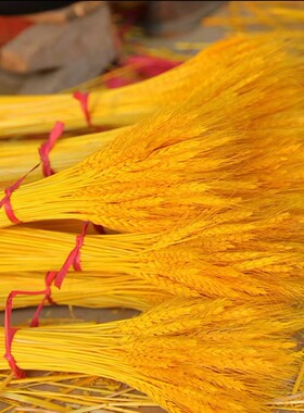 佳豪园艺大麦装饰田园金闪闪麦穗