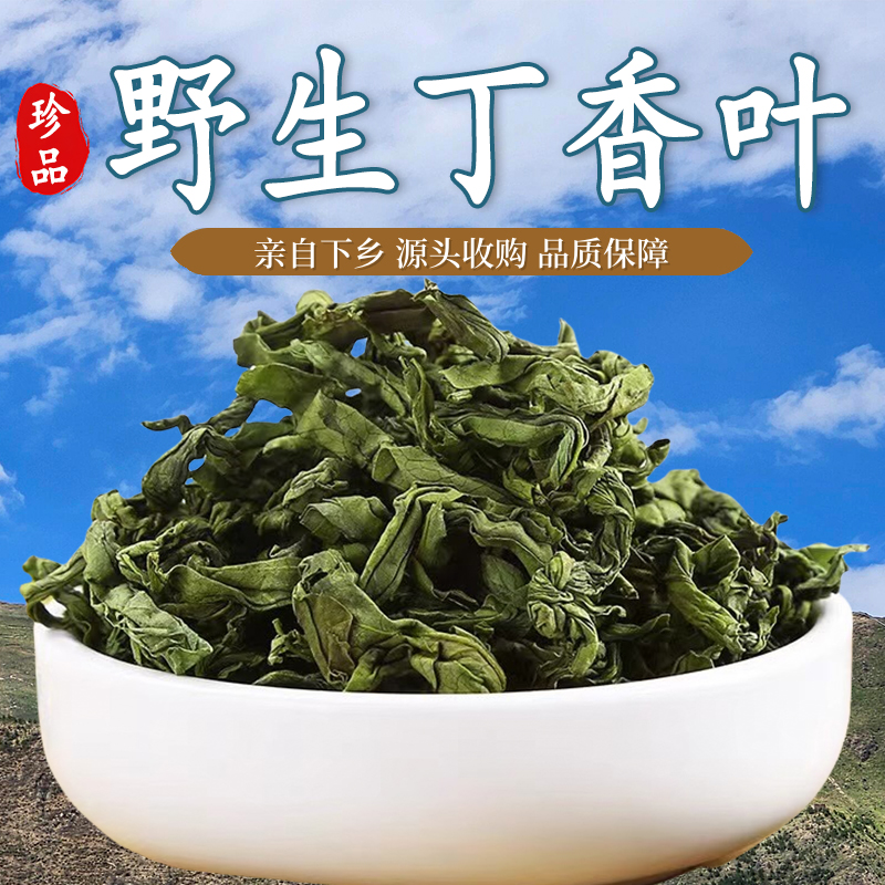 2025年天然丁香叶中药草