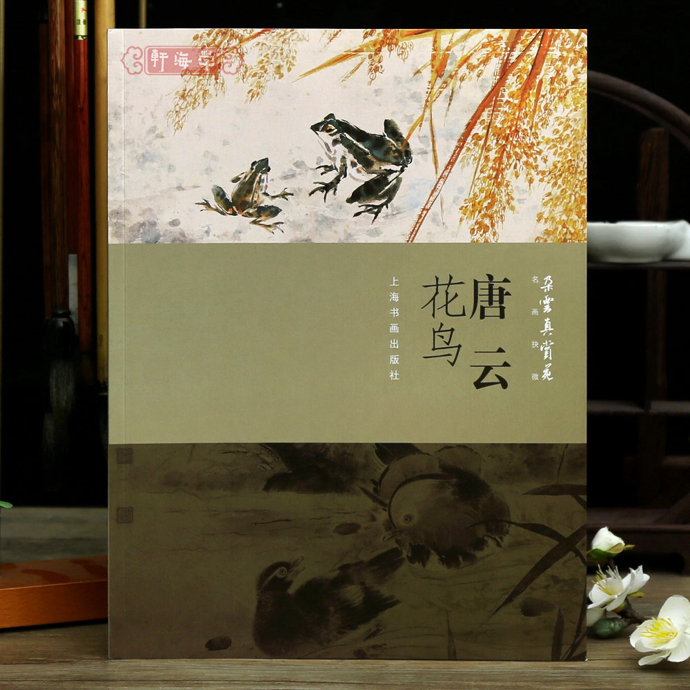 学海轩唐云花鸟朵云真赏苑名画抉微芙蓉双鸠图红荷竹菊小鸟图谷蛙图牡丹鸳鸯图湖石花影等作品合集局部放大水墨画国画临摹范本绘画