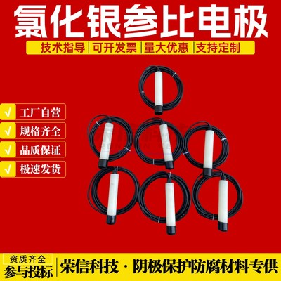 电化学氯化银参比电极 CPMS电位监测系统Agcl参比电极带电缆线