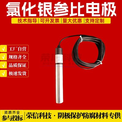 海上风电场导管架CPMS阴极保护监测系统 银/氯化银参比电极现货