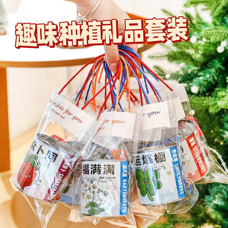 手提种植盆栽盲盒儿童小礼品
