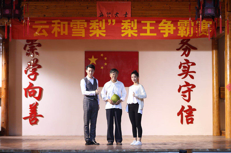 云和雪梨大梨子10斤6个 中秋大礼品当天采摘发货月饼铁蛋红米