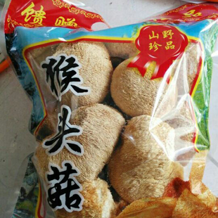 丽水云和梯田特产高山猴头菇食用菌中国大陆食用农产品猴头菇粉